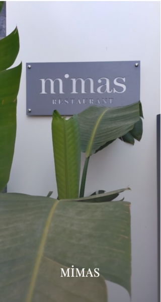 mimas-anasayfa