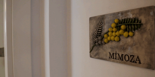 Casa Mimisa Otel Mimoza 1